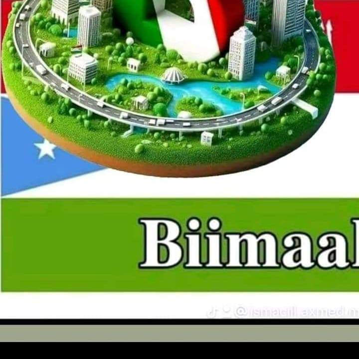 QOLKA BEELWENTA BIIMAAL💢💢💥💥📡🇸🇴🌏🌏🇸🇴🙏🙏 | Facebook