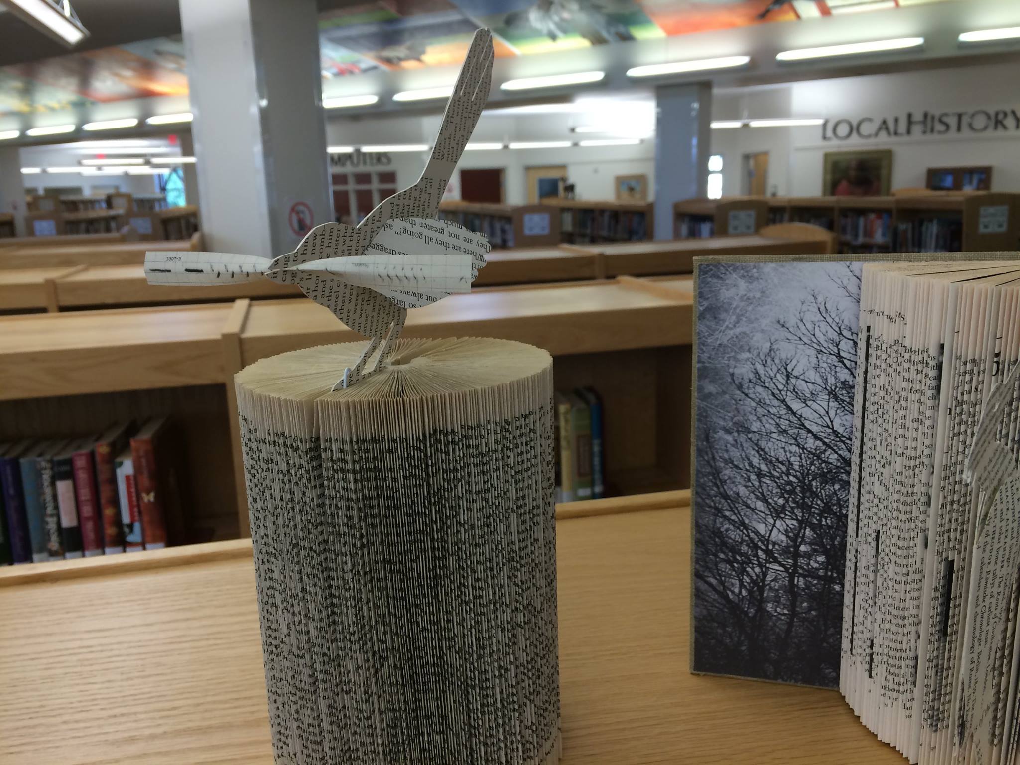 What's in a book?... - Fremont County Library System—Lander | Facebook