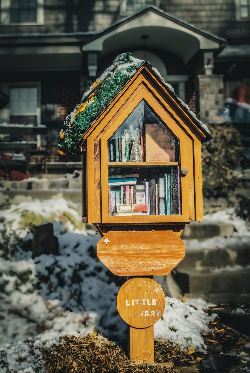 1000 - Beautifully captured by Susan Vineyard - LITTLE LIBRARY - In ...