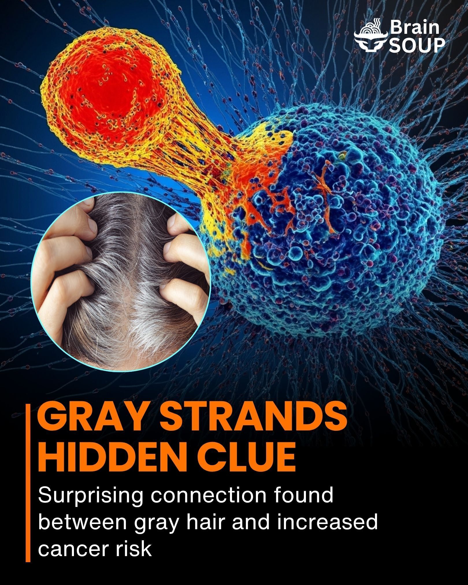 Brain - A new scientific discovery has uncovered a fascinating link ...