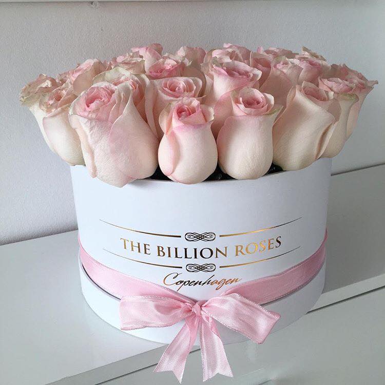 The Billion Roses | Copenhagen