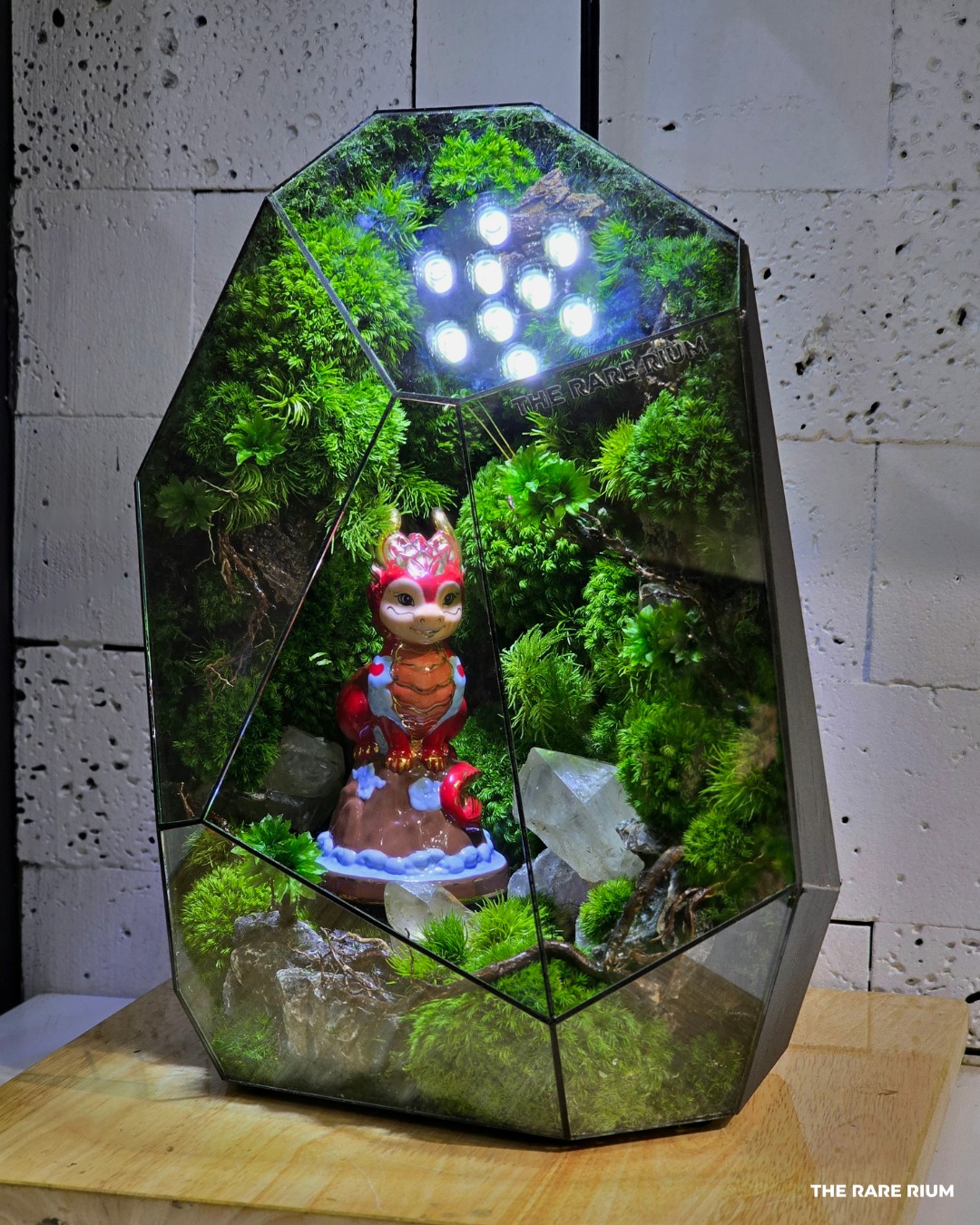 The Rare Rium - Plant &... - The Rare Rium - Plant & Moss Art