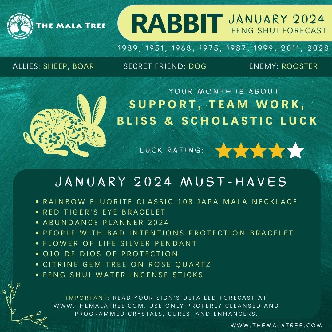 THE MALA - RABBIT, hop into 2024, and seize your destiny! The image ...