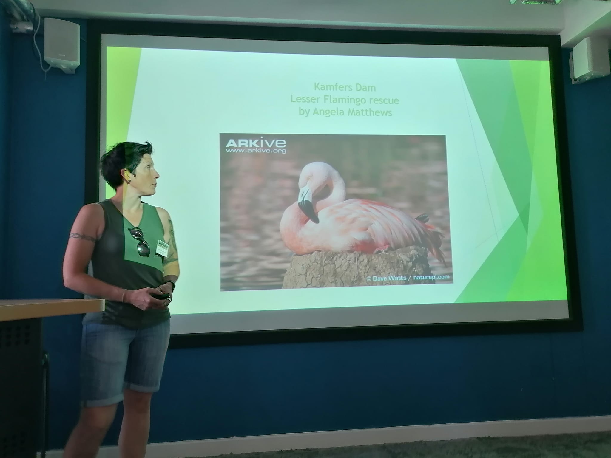 The afternoon of the ABWAK... - Flamingo Specialist Group