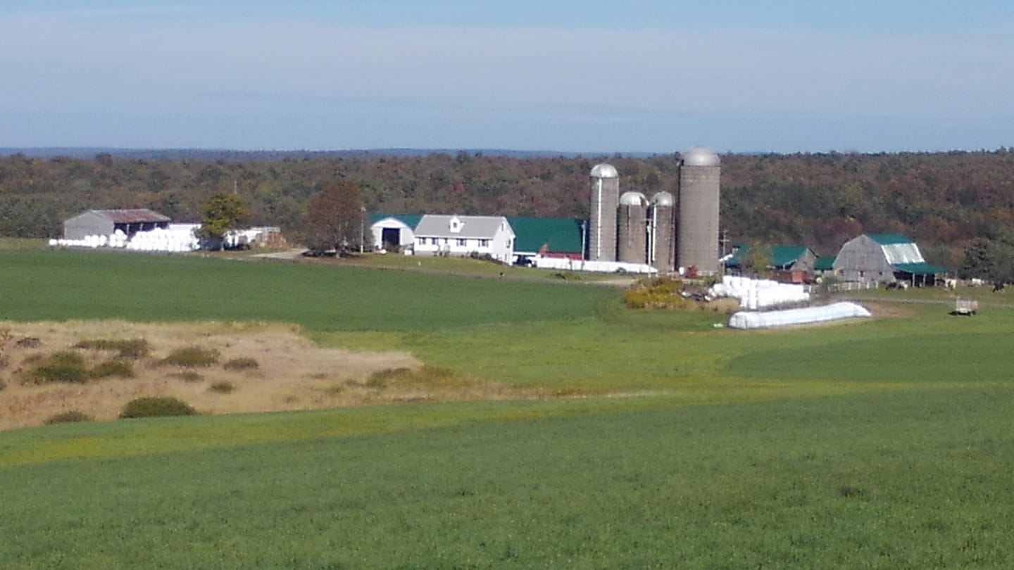 Sandefer Hill Farm added a new photo. - Sandefer Hill Farm