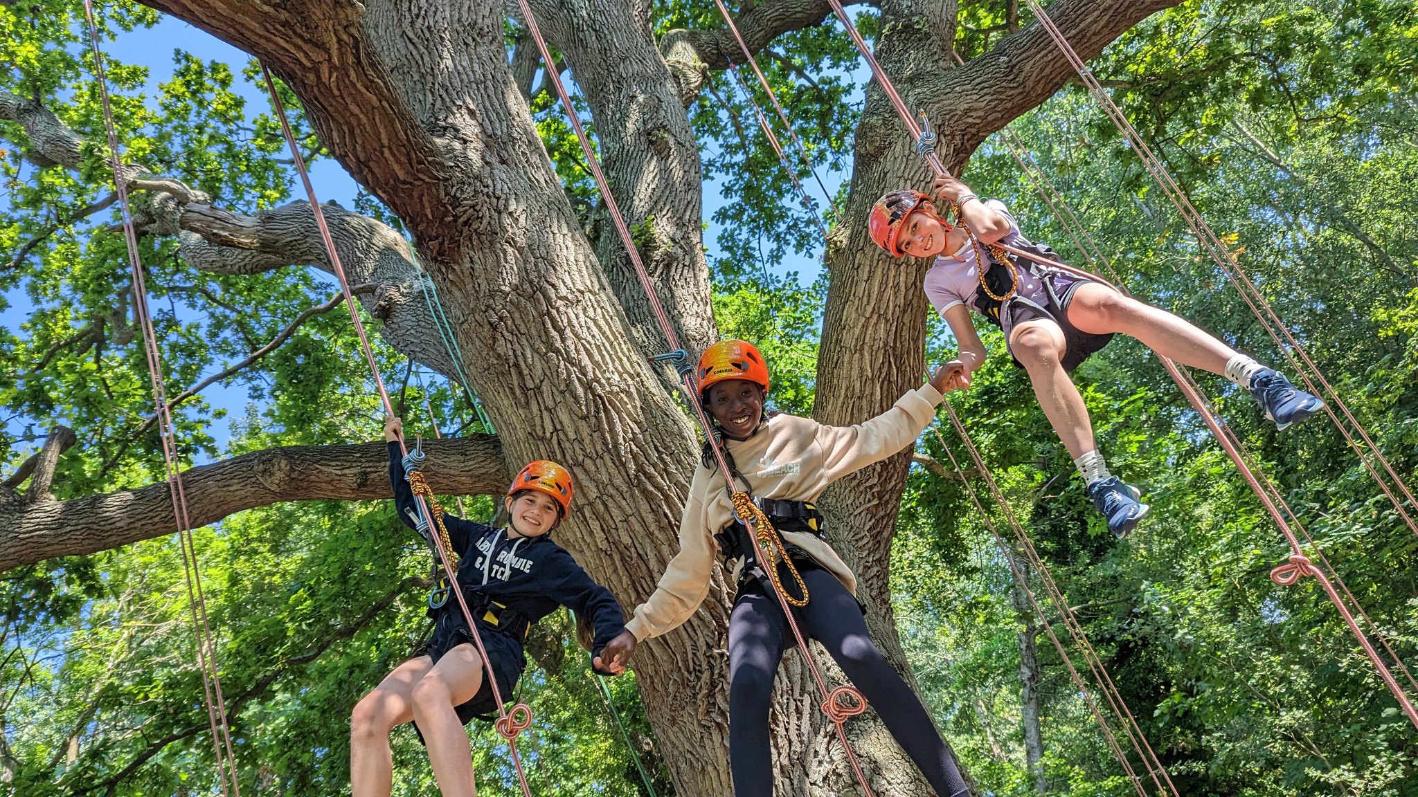 Goodleaf Tree Climbing | Ryde