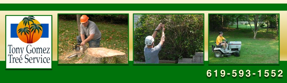 Tony Gomez Tree Service | El Cajon CA