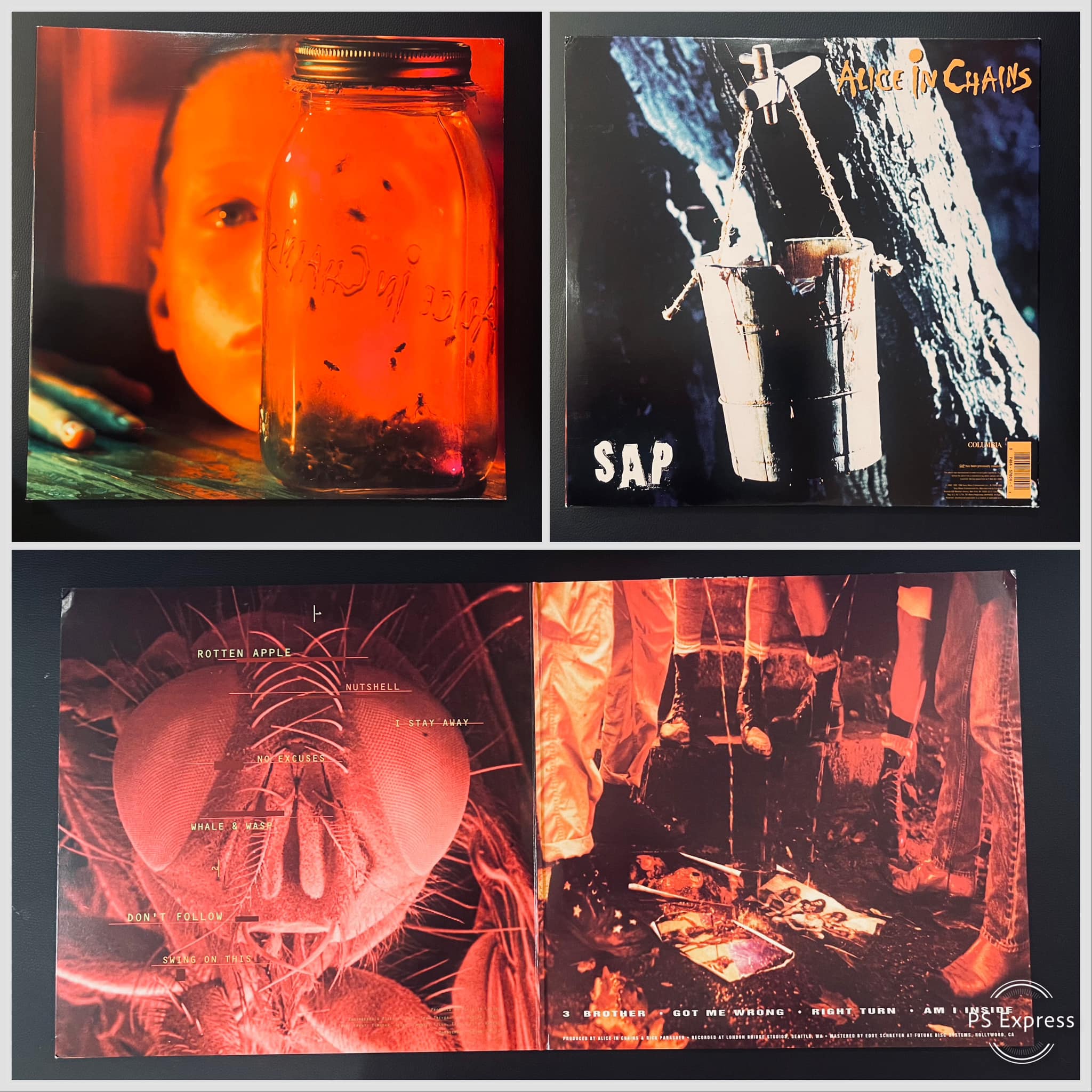 Alice in Chains/jar of Flies/Sap. 1994. First Pressing