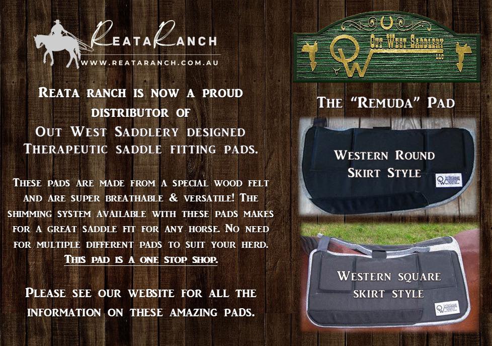 📣 Exciting News! 📣 🇦🇺 We are... - Reata Ranch Horsemanship | Facebook