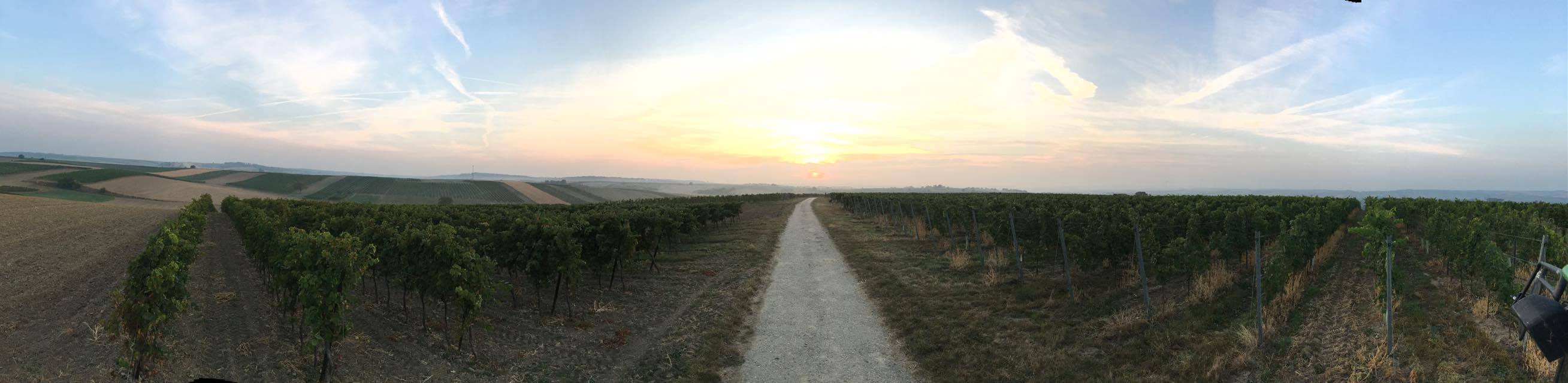 Weingut Ebinger