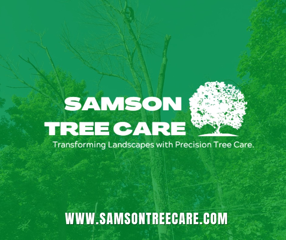 🌿 Exciting News! 🌳 We are thrilled to... - Samson Tree Care | Facebook