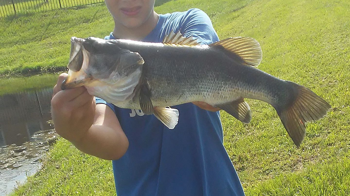 Fishing spots (jacksonville fl only) | Facebook