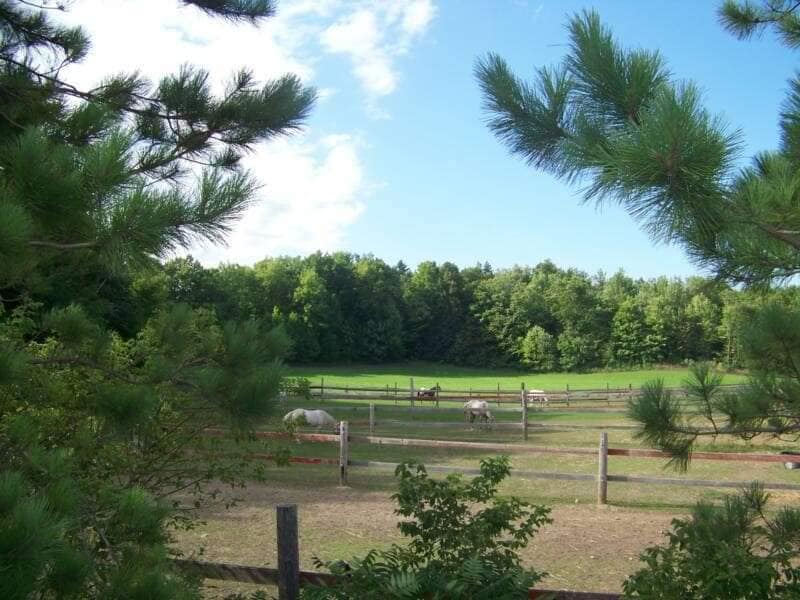 We have a few spots... - Stoneridge Farm Kewaunee WI LLC