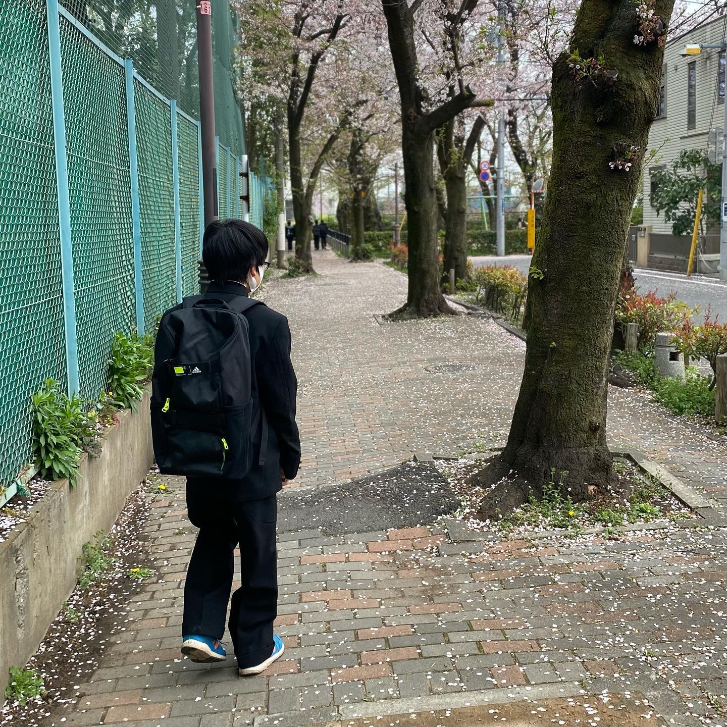 ピカピカの一年生✨ ちょいと大きめの学ランがなんとも可愛いっ? 入学 