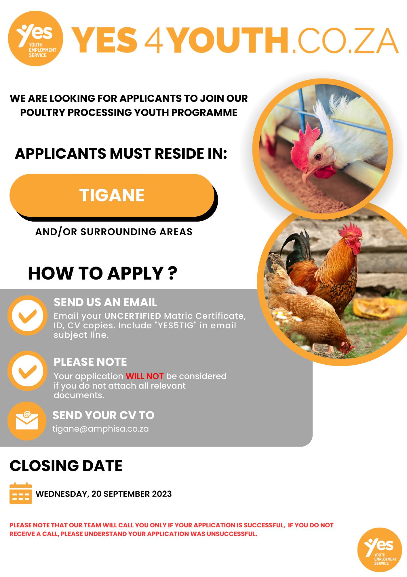 Amphi SA - ‼️ YOUTH PROGRAMME OPPORTUNITY ‼️ We are... | Facebook