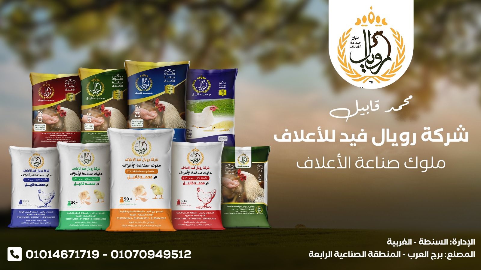 مصنع رويال فيد للاعلاف