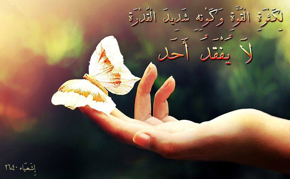 Ø§ÙØ§Øª ÙØ´Ø¬Ø¹Ù ÙÙ Ø§ÙÙØªØ§Ø¨ Ø§ÙÙÙØ¯Ø³ Facebook