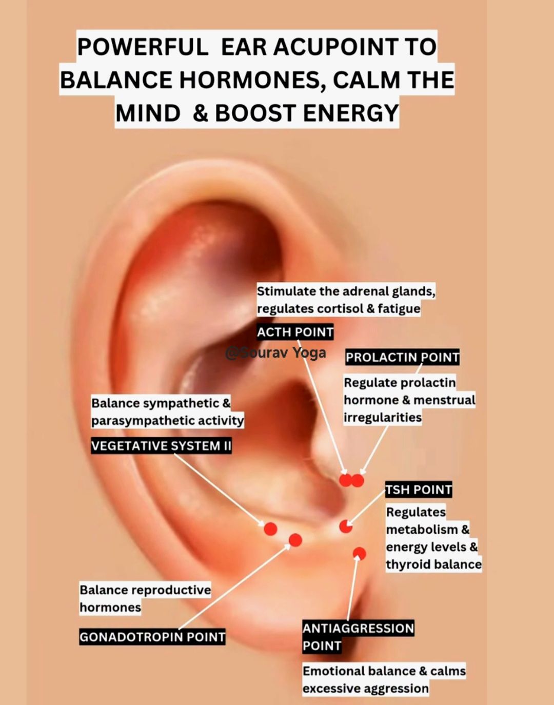 Sourav - POWERFUL EAR ACUPOINT TO BALANCE HORMONES, CALM THE MIND ...