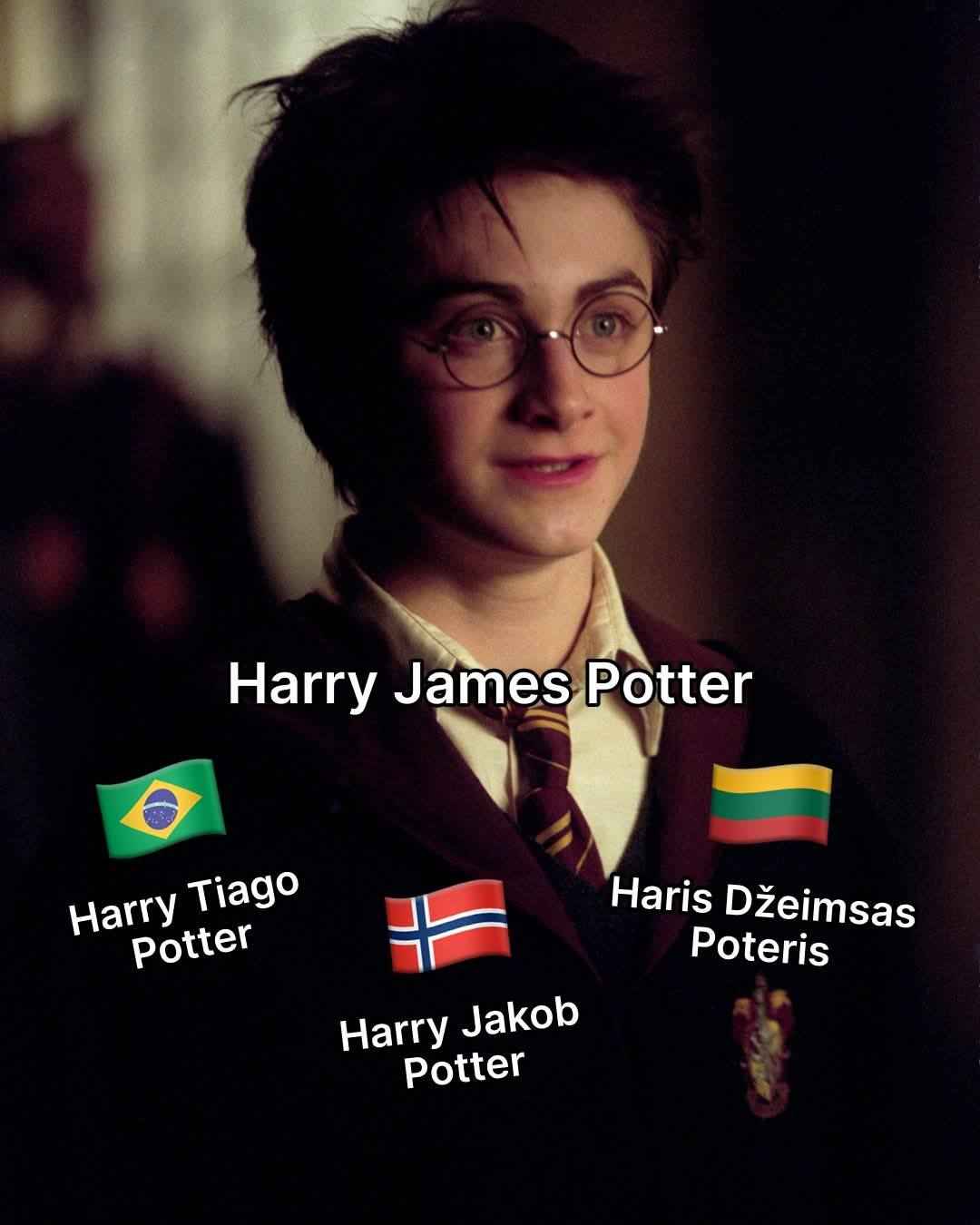 本 チェコ語 Harry Potter a Kámen mudrcůハリー・ポッター