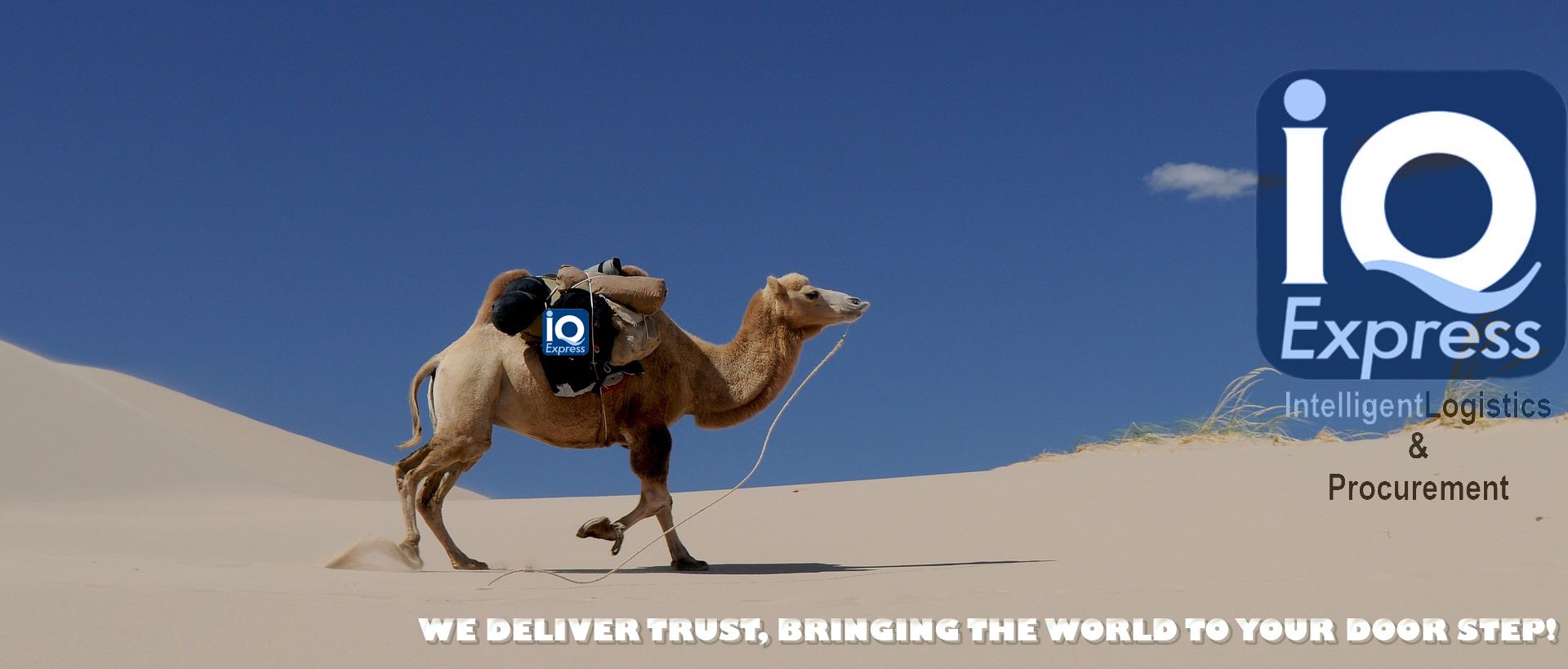 IQ Express Ltd | London