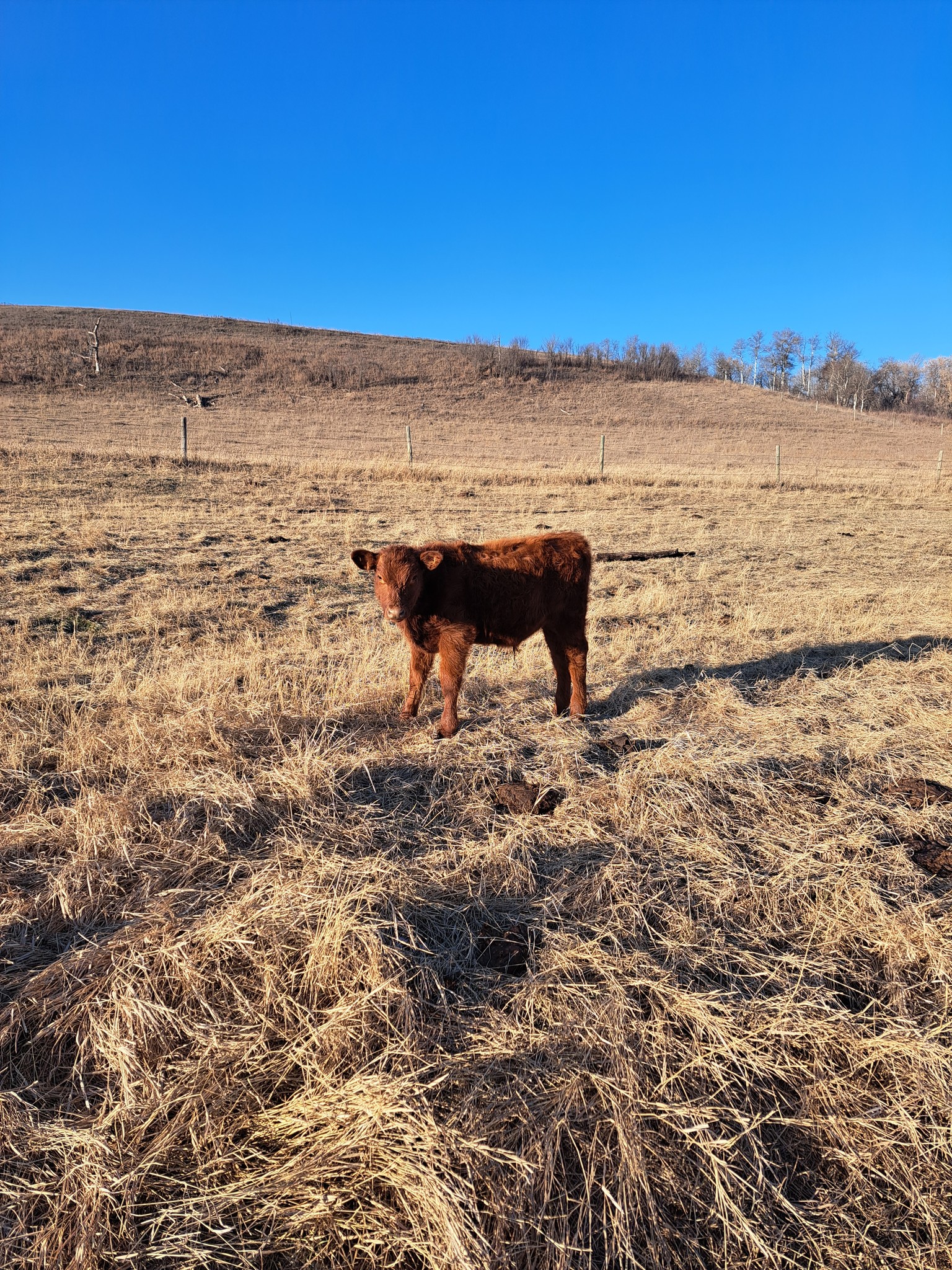 L Squared Ranch