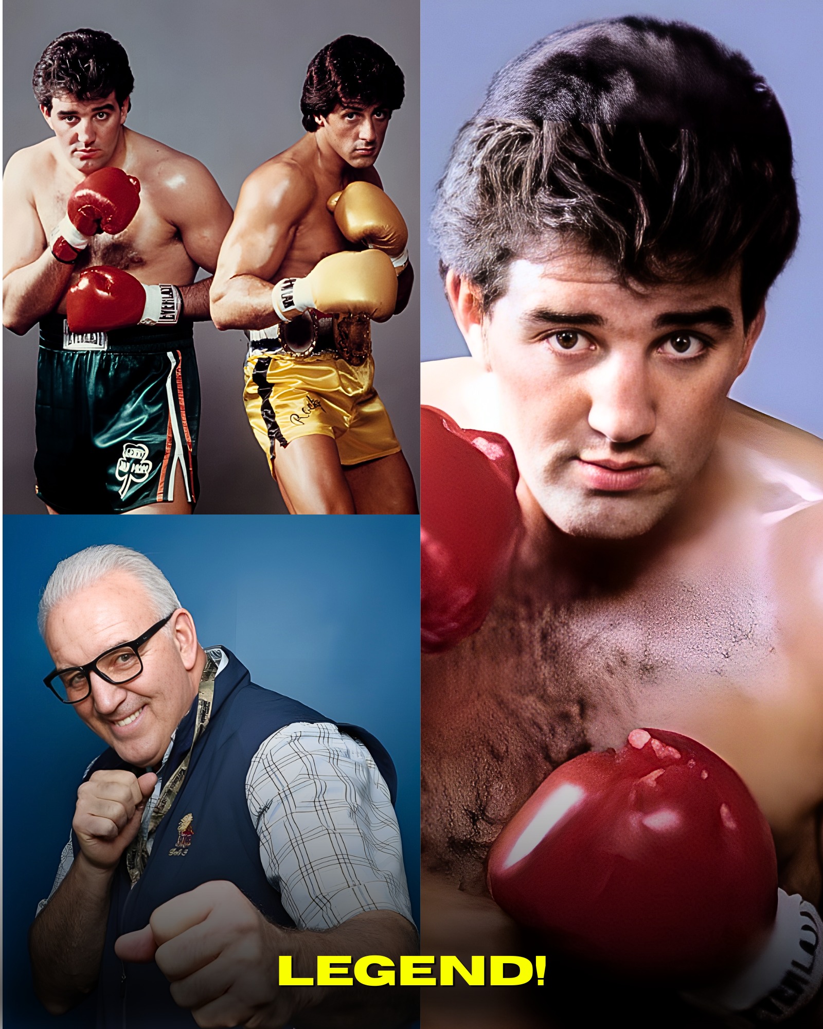 Sofia - Gerry Cooney looked every bit the heavyweight prototype the ...