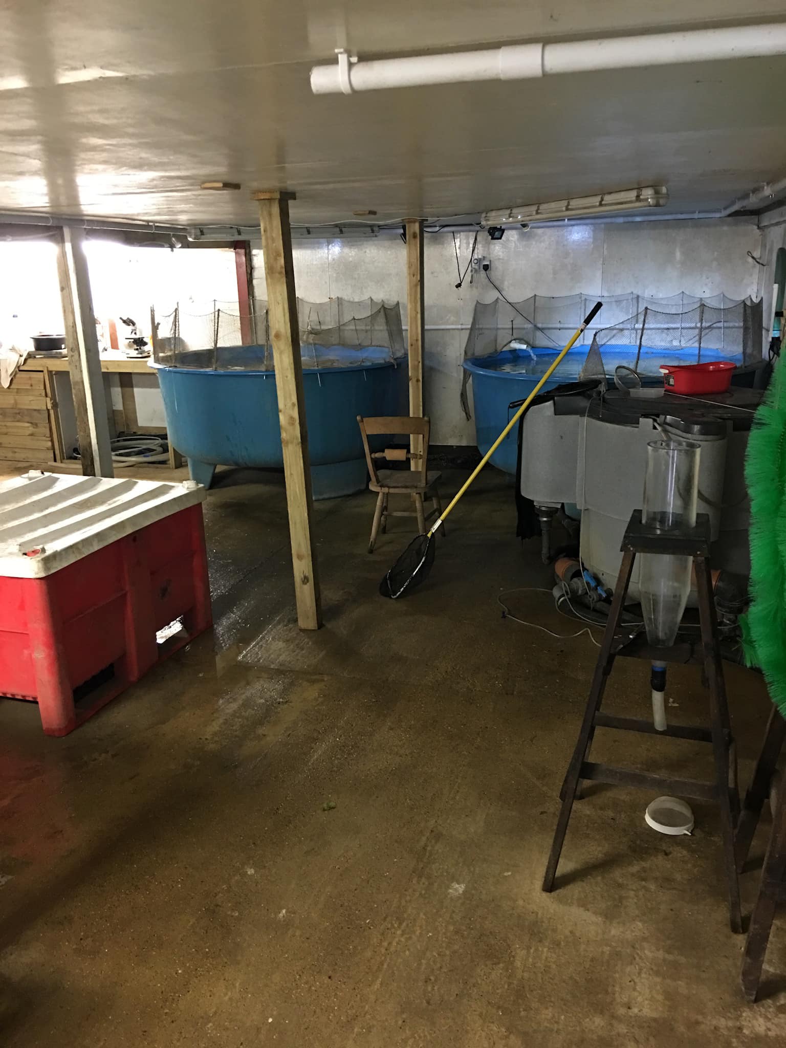 Babylon Fish Farm | Tonbridge