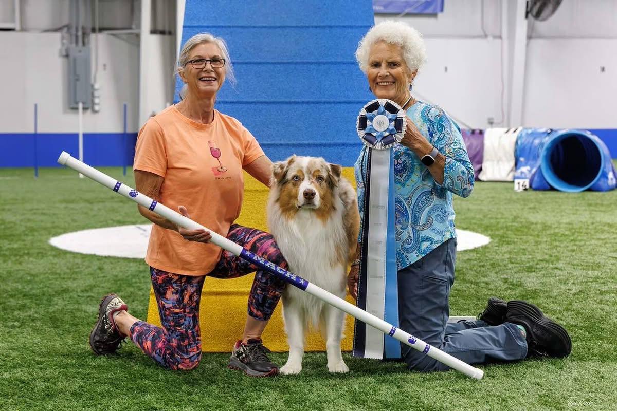 Fast Paws Agility