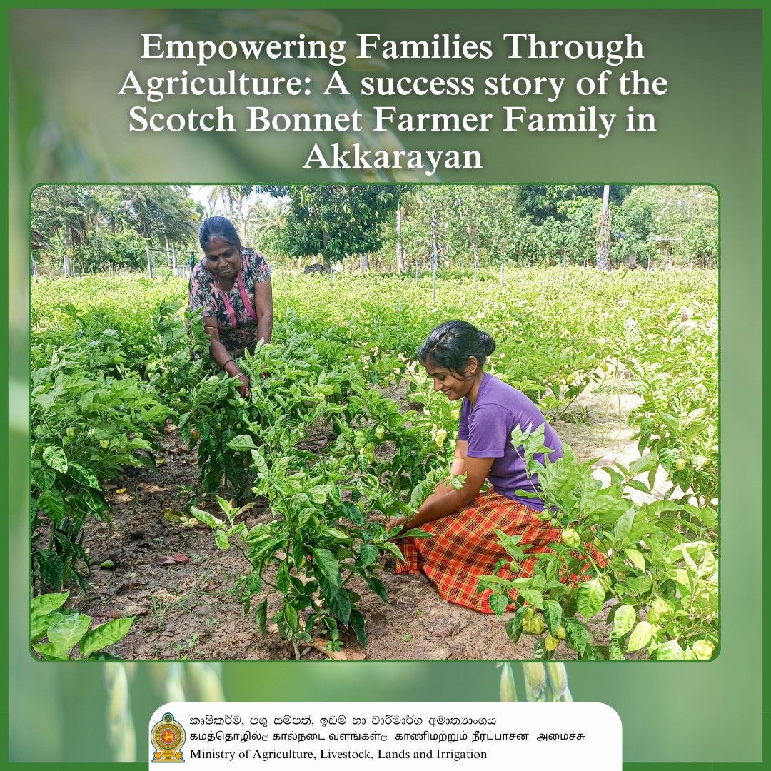 In the rural... - Ministry of Agriculture , Sri Lanka | Facebook