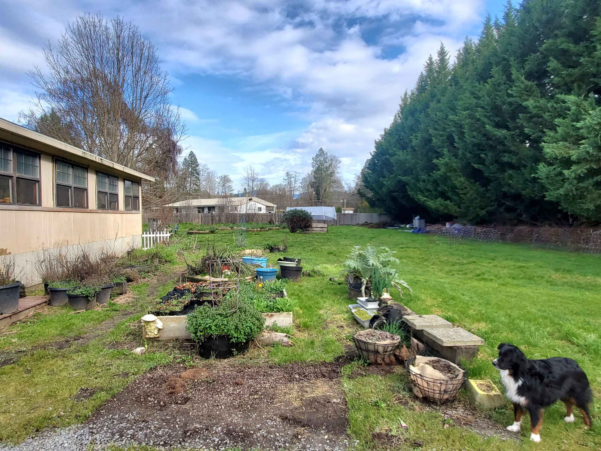 3 Beds 2 Baths House Property Rentals Grants Pass, Oregon