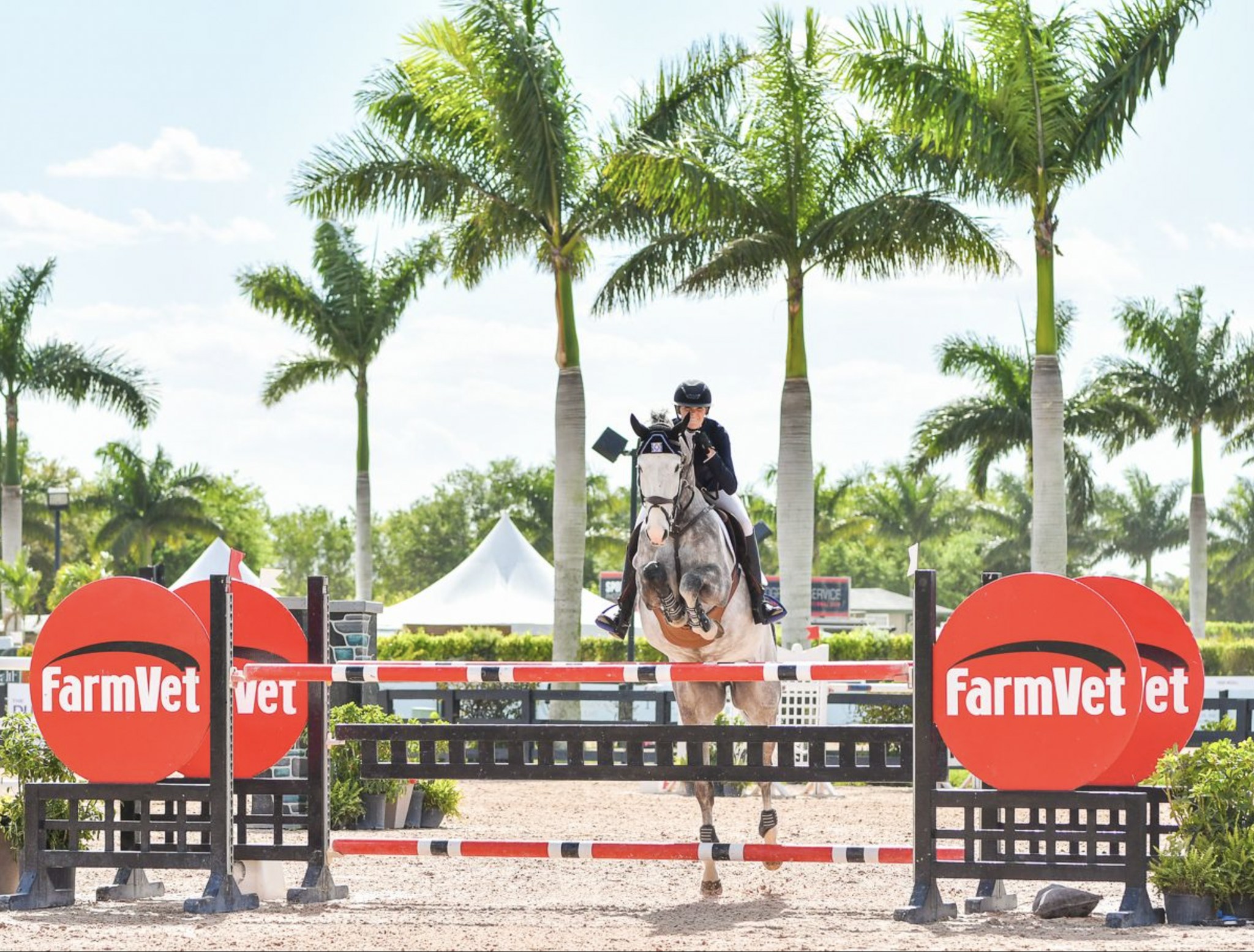 FarmVet | Wellington FL