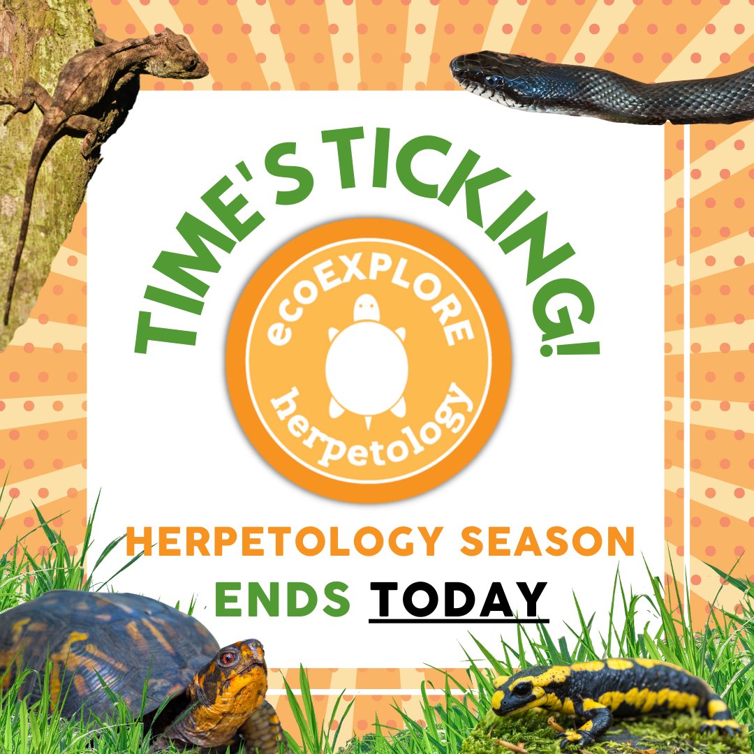 ecoEXPLORE - Today is the FINAL DAY of Herpetology Season...