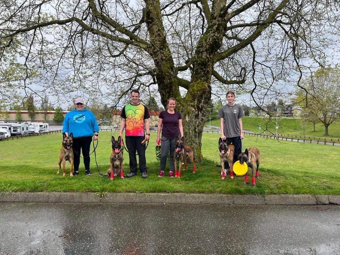Dynamo Darts Flyball Team... - Dynamo Darts Flyball Team