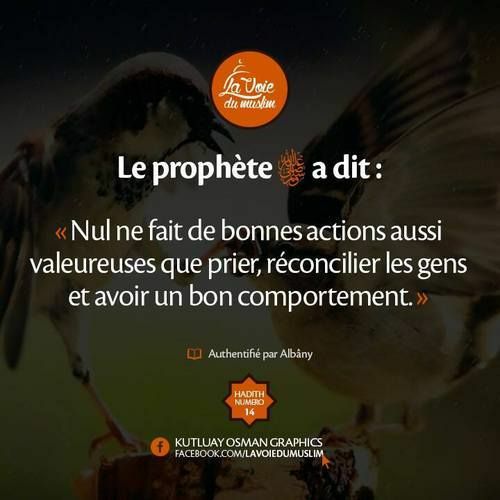 Breaking News Muslims Allah Dans Ma Vie Home Facebook