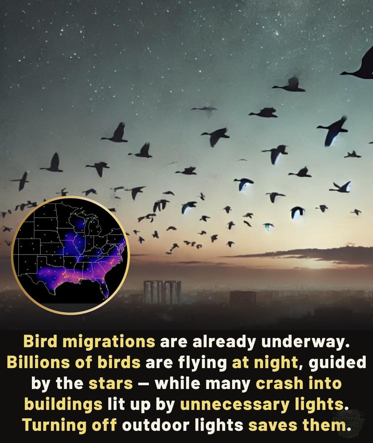 Explorify - One small action — turning off outdoor lights — can save ...