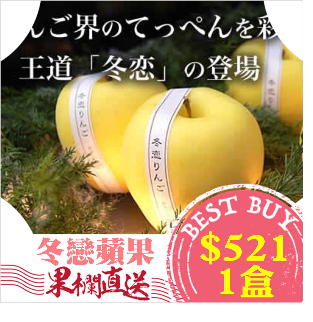 1000以上冬恋 冬恋萨克斯風