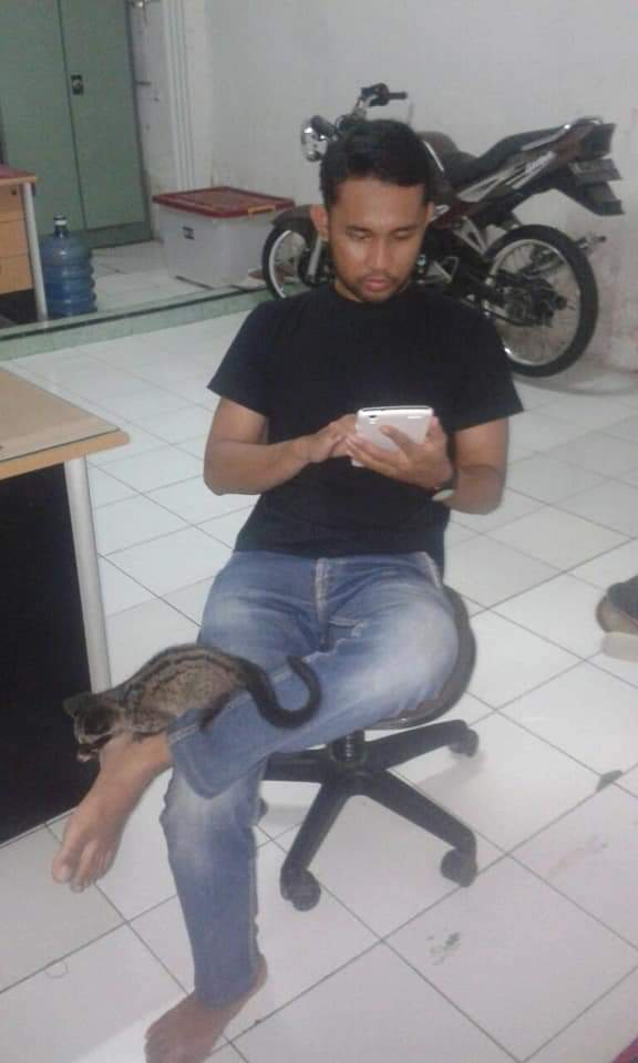 Dhani Ansyari Ritonga