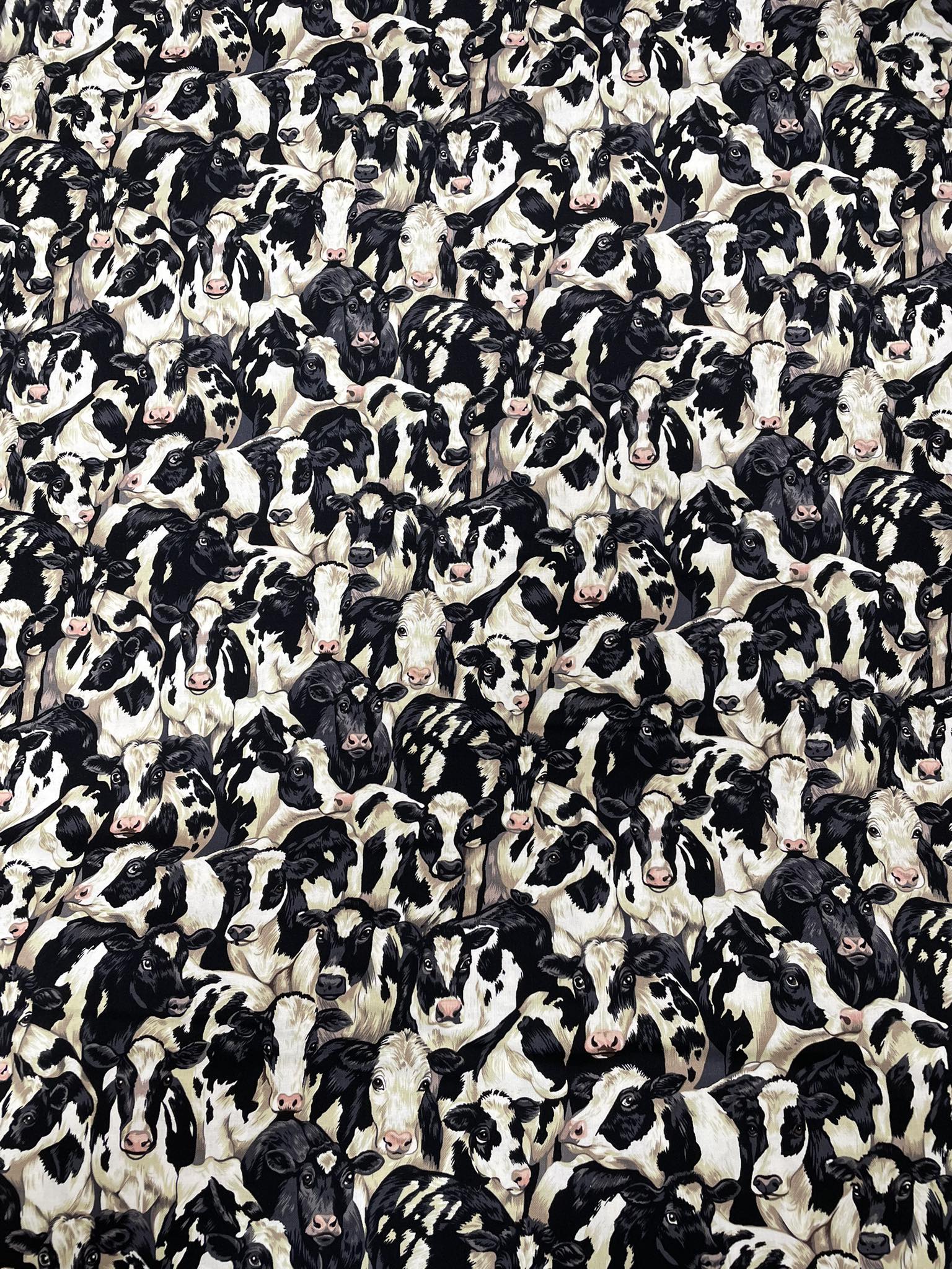 Brixham - Have you HERD!! From Fish Town to Cow Town. We are pleased to ...