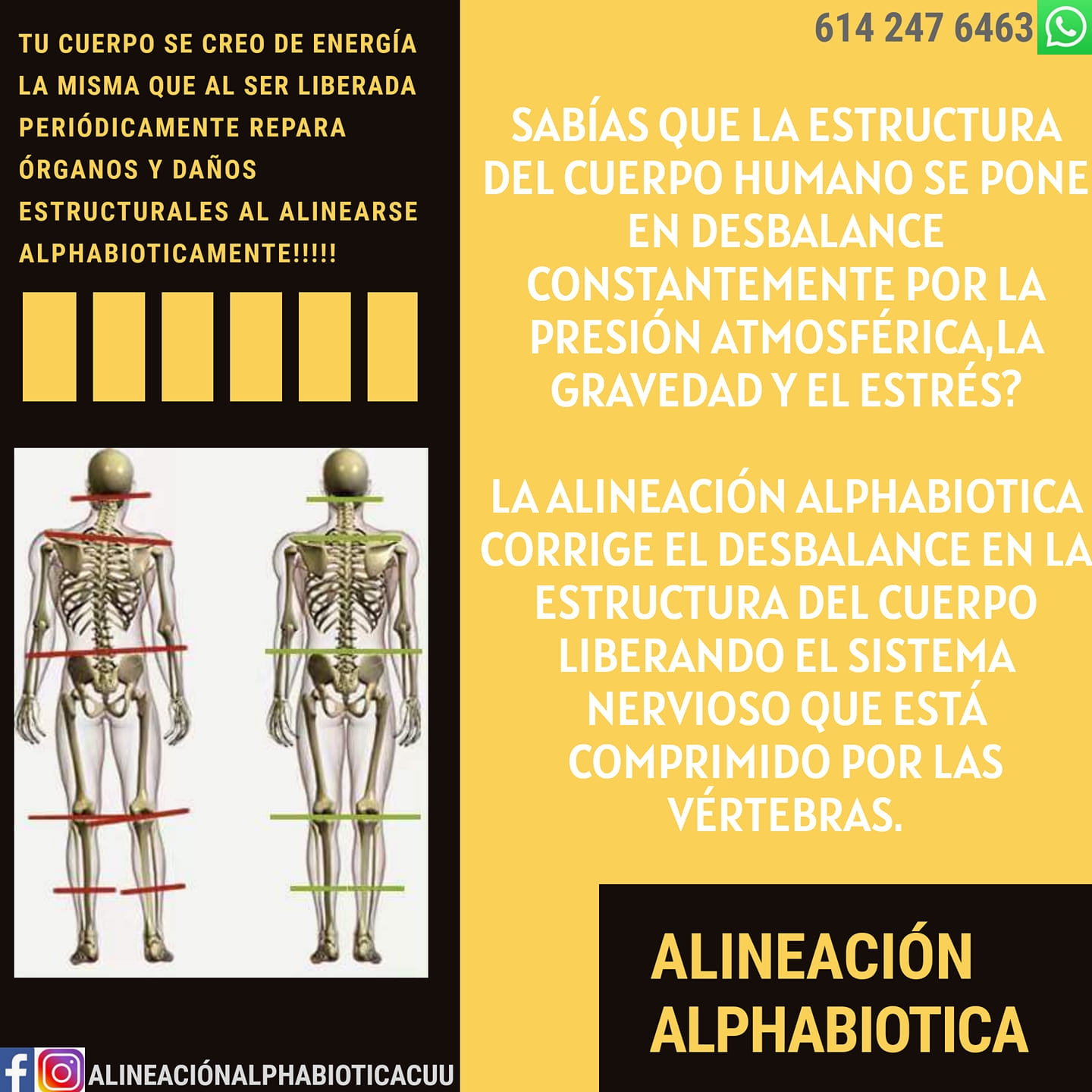 Alineación Alphabiotica added a... - Alineación Alphabiotica