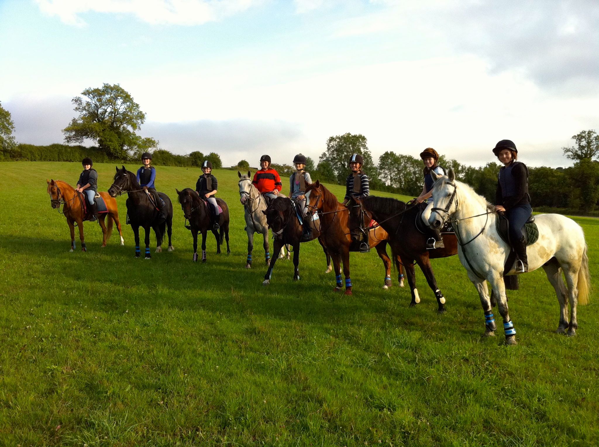 Northaw Riding School added a new... - Northaw Riding School