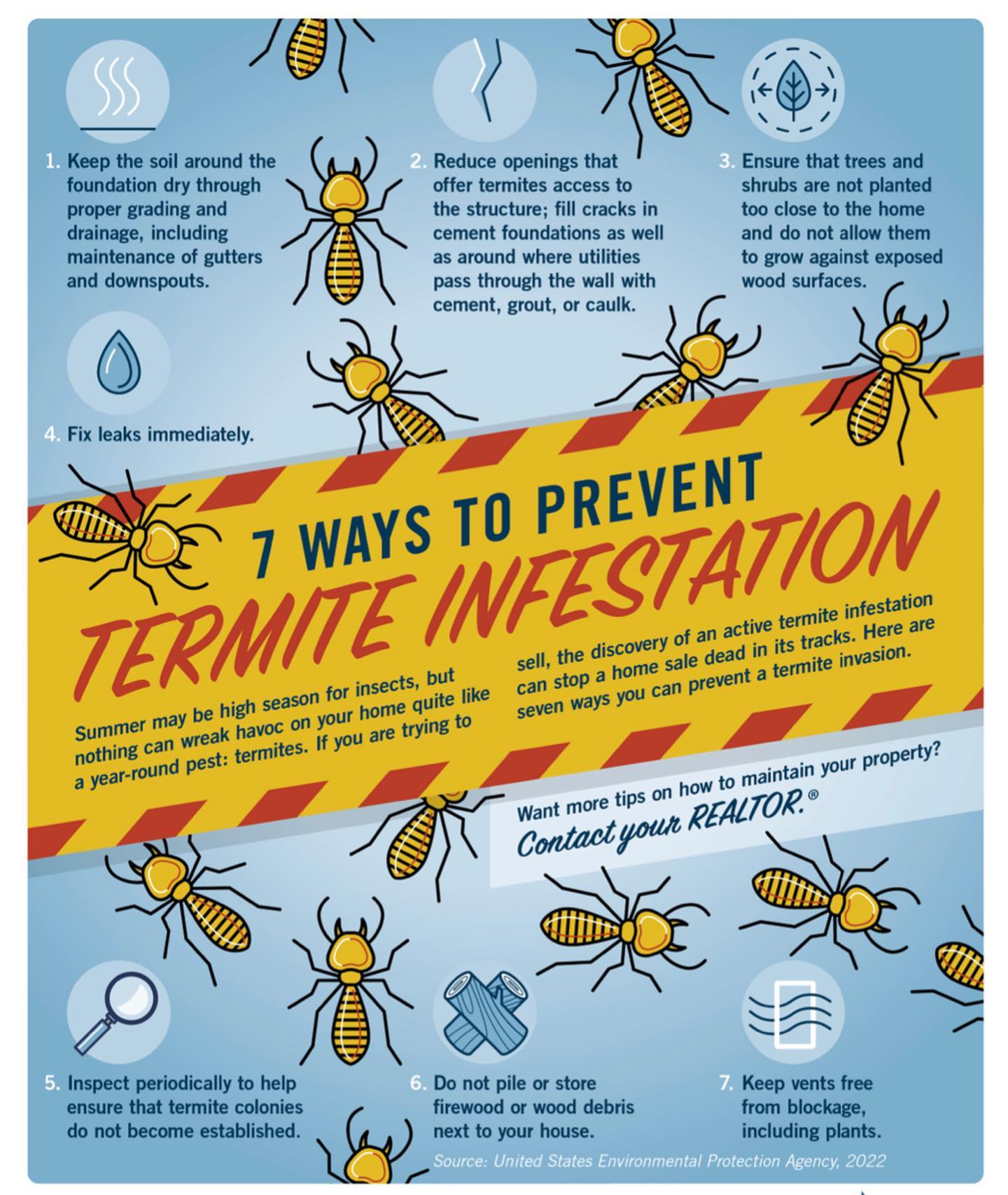 DParadiseSold - What Termites, It does happen! What are... | Facebook