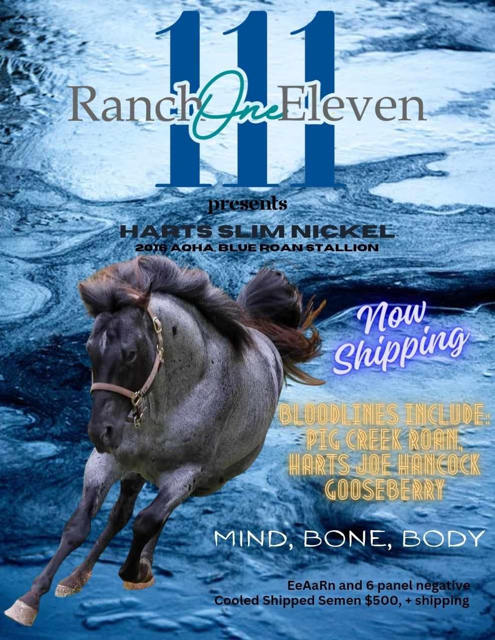 Ranch One Eleven Equine Medical Boarding | Colbert GA