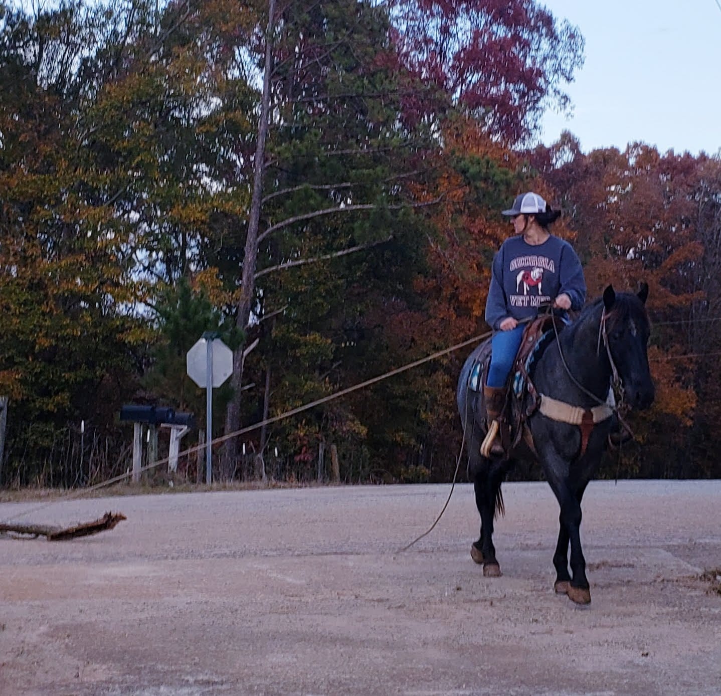Ranch One Eleven Equine Medical Boarding | Colbert GA
