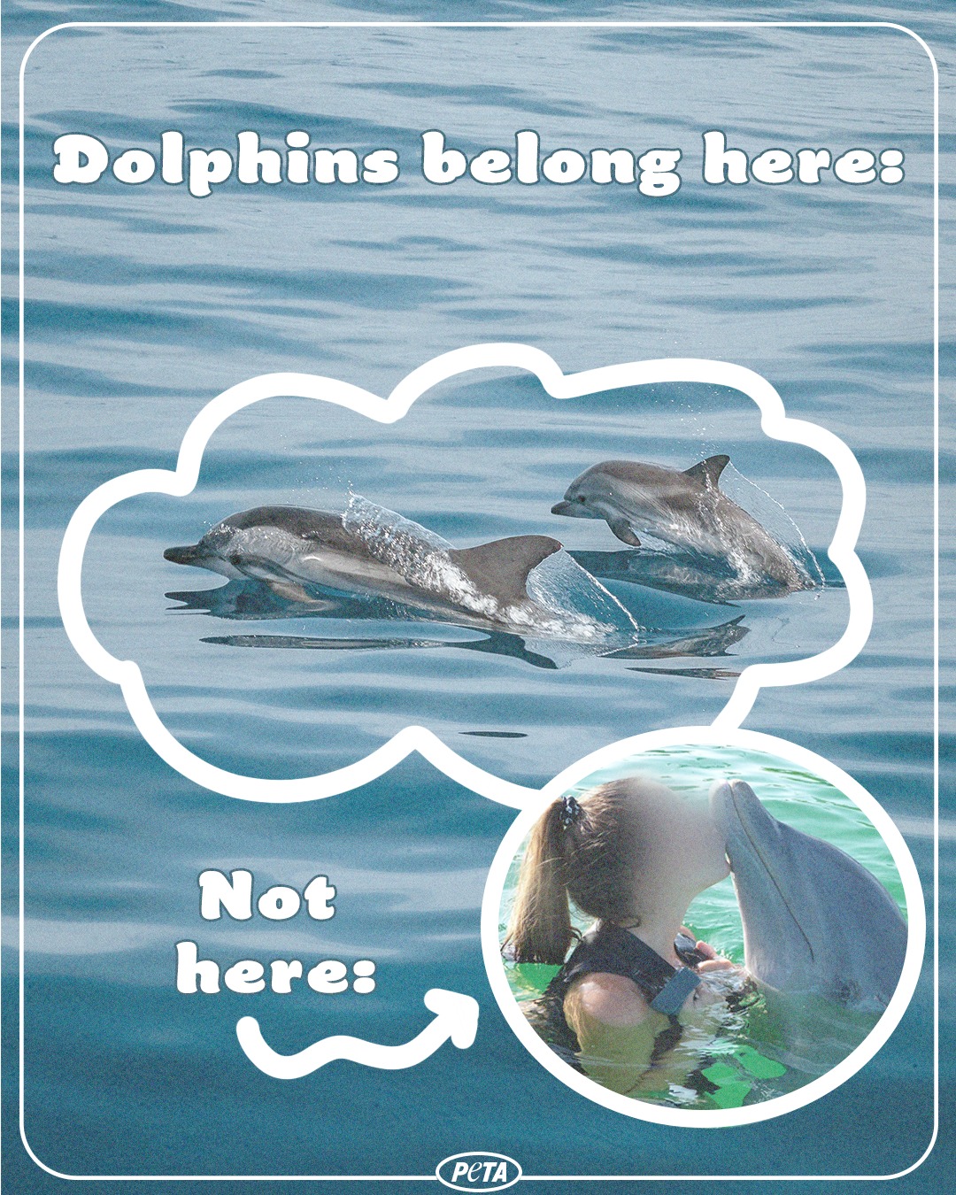 This... - PETA (People for the Ethical Treatment of Animals)