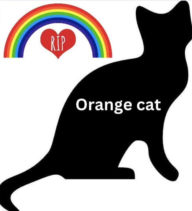 FIND TOBY in PA - Lititz, PA ~ 9/13/2025 ~ RIP CAT We're... | Facebook