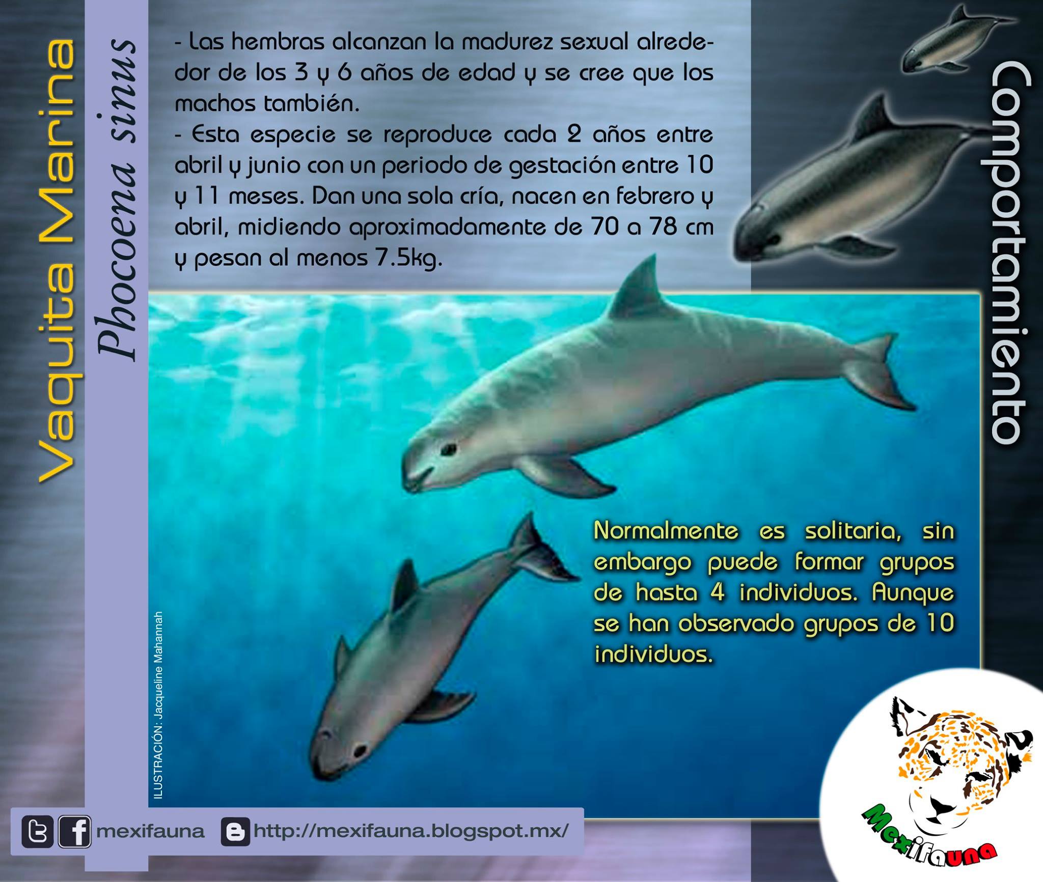 Una especie mexicana. - Diversidad Biológica de México