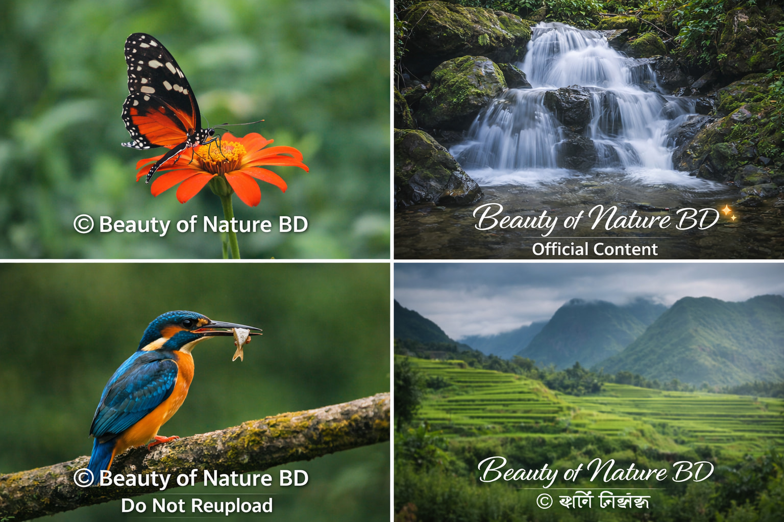 Photo inspiration: Based On The Beauty Of Nature Reference: Beauty Of Nature Bd