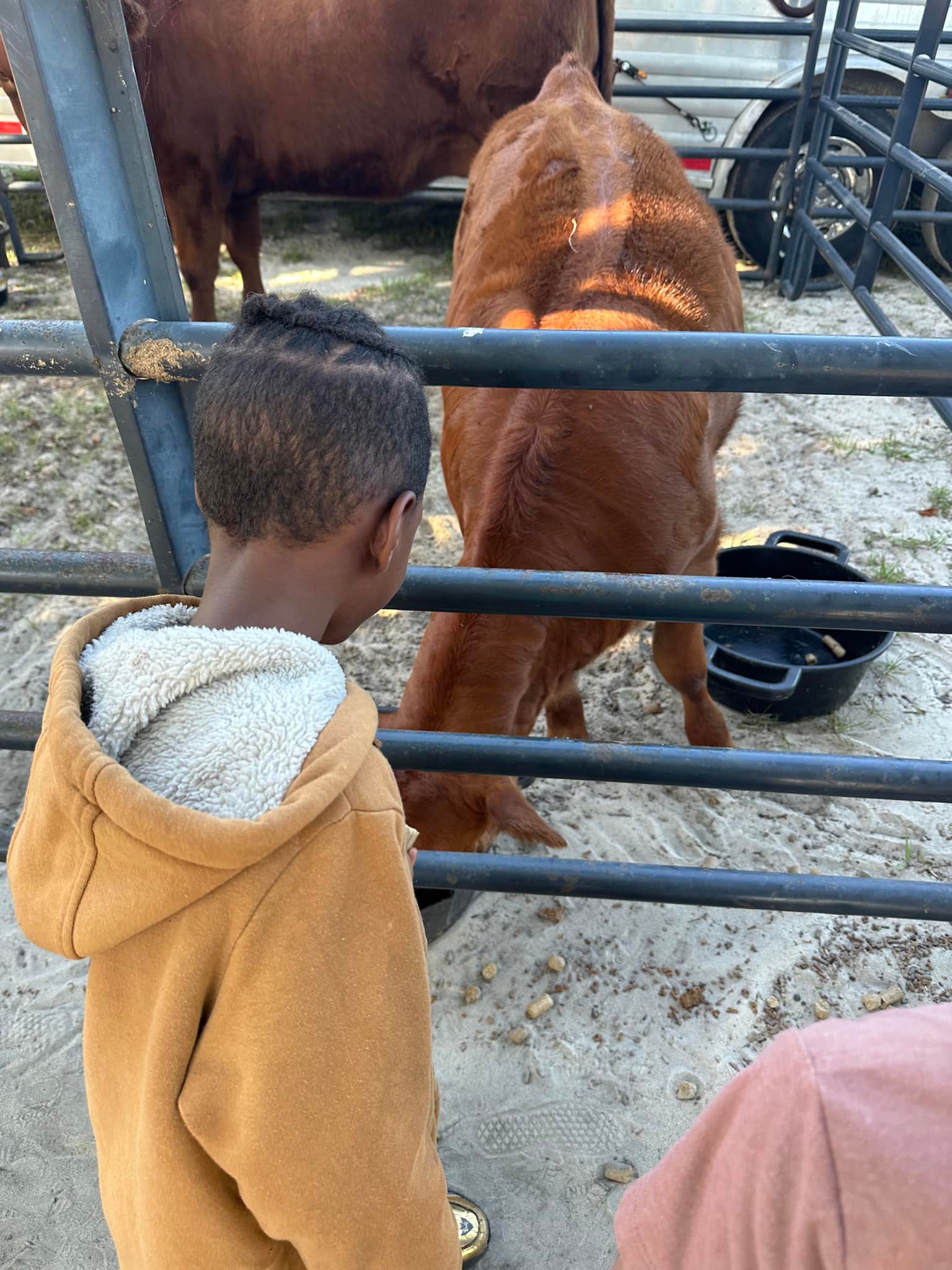 Triple R Farm | Ocala FL