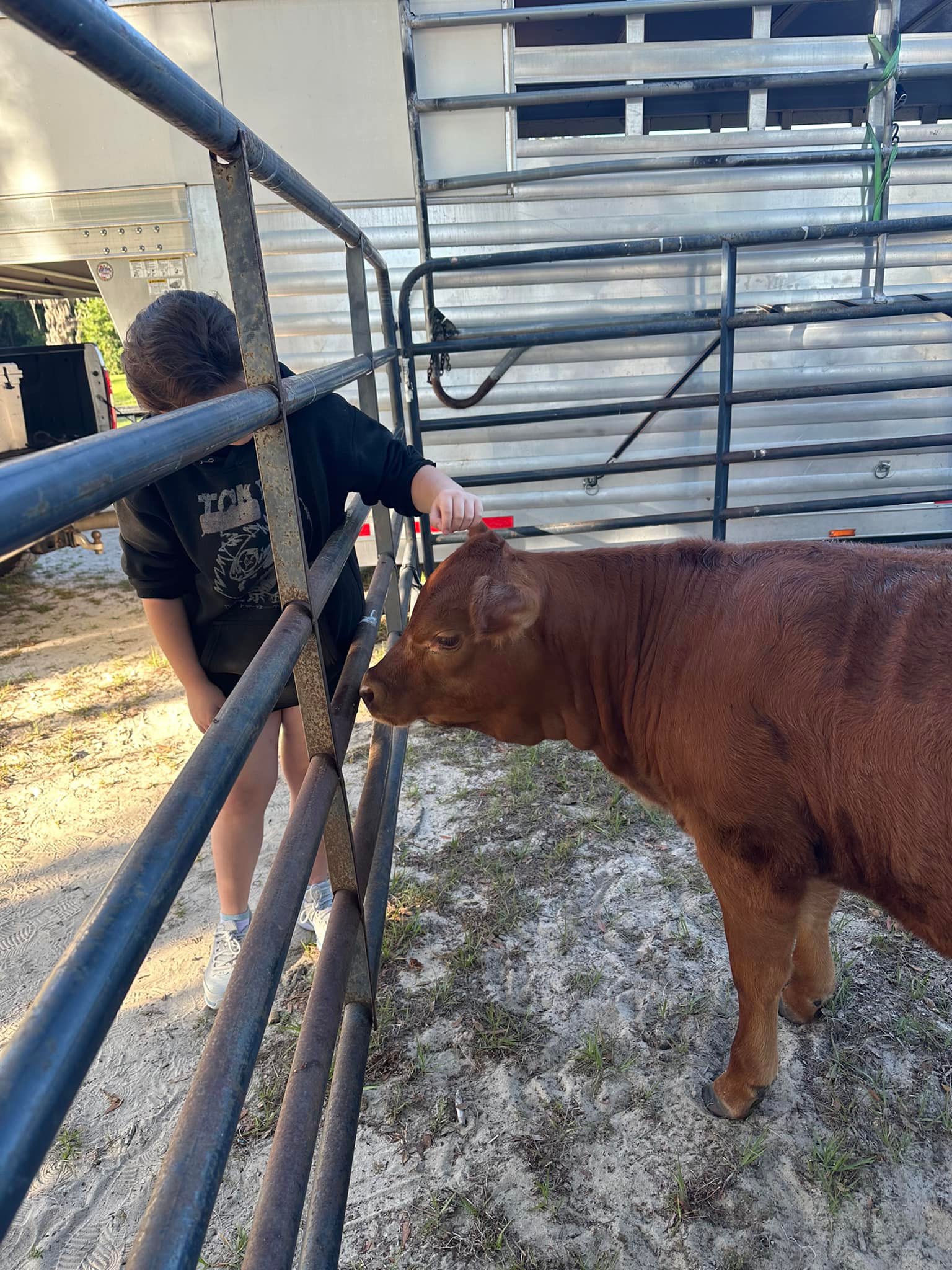 Triple R Farm | Ocala FL
