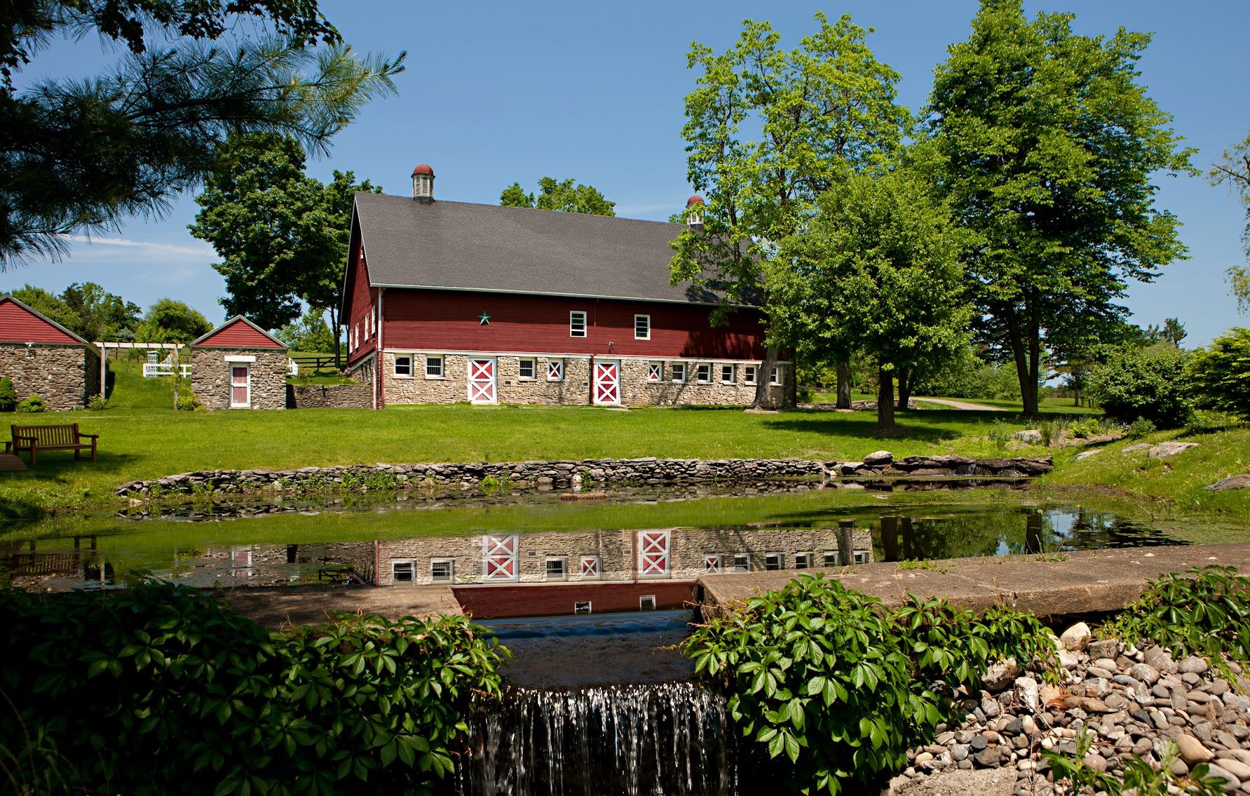The Farm at Pond Lily | Elizaville NY